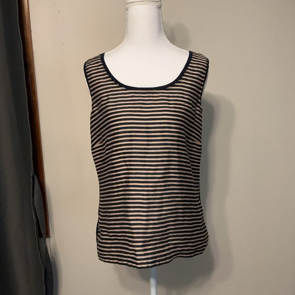 The Limited Tan/Navy Stripe Top
